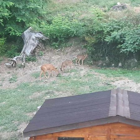 Les Cimes Bed and Breakfast Saint-Pierre-de-Rivière Εξωτερικό φωτογραφία